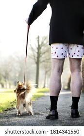 Businessman In Boxer Shorts Walking His Dog. Conceptual Image Shot