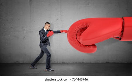 A businessman in boxing gloves on concrete background punches a giant red glove. Business and competition. Training to win. Overcome difficulties.