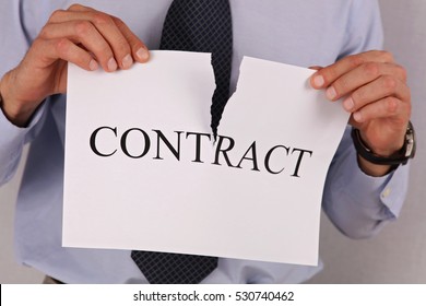 Businessman Breaking Contract Close Up. Termination Of Contract