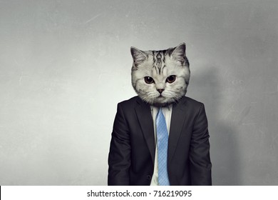 Businessman with cat head . Mixed media