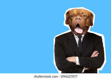 Businessman With Dog Face Stands With His Arms Crossed. Blue Art Business Collage. Art Business Illustration With Place For Inscription. Art Business Man Dog Head. Portrait Of Trendy Magazine Style