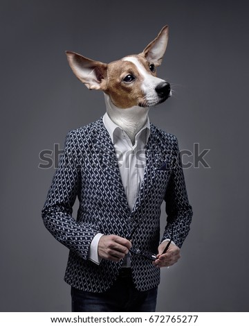 A Businessman  With A Dog Head, Jack Russell Terrier Wearing A Suite Over Isolated Background.