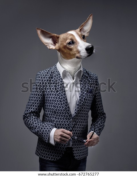 A Businessman  With A Dog Head,\
Jack Russell Terrier Wearing A Suite Over Isolated\
Background.