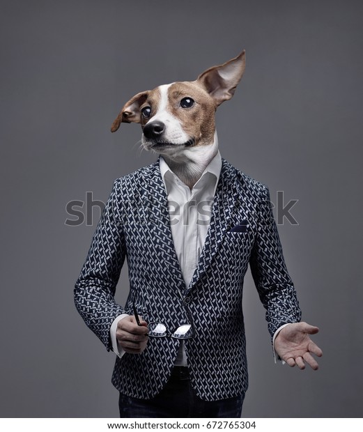 A Businessman  With A Dog Head,
Jack Russell Terrier Wearing A Suite Over Isolated
Background.