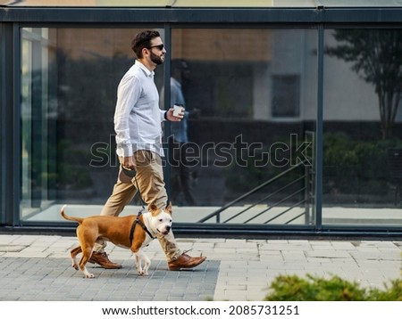 A businessman drinking coffee to go and walking his dog. A man passing by windows. A businessman in a walk with Stafford