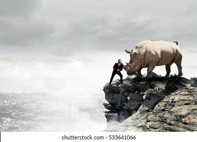 4,232 Rhino Fight Images, Stock Photos & Vectors | Shutterstock