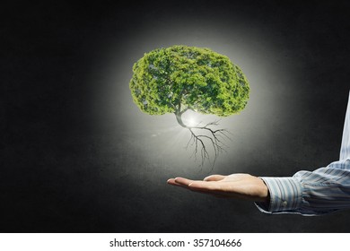 Businessman hand holding green tree in palm on dark background