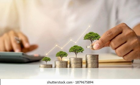 A businessman holding a coin with a tree that grows and a tree that grows on a pile of money. The idea of maximizing the profit from the business investment. - Shutterstock ID 1879675894