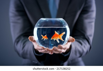 Businessman Holding Small And Big Gold Fish Together In The Fishbowl