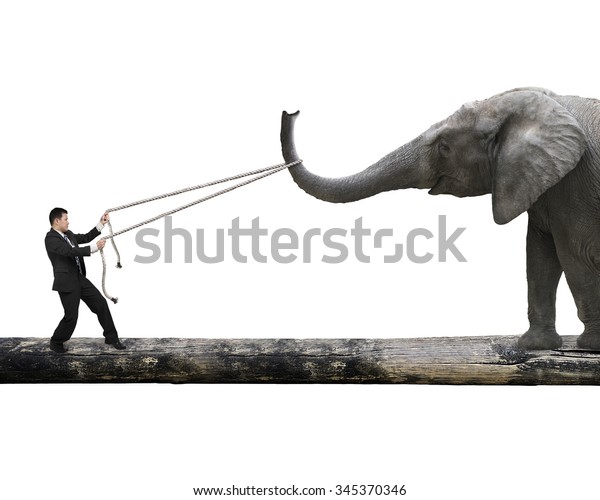 Businessman pulling rope\
against a big elephant balancing on tree trunk, isolated on white\
background.