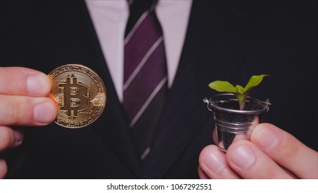 A Businessman In A Suit Holds In His Hand A Gold Bitcoin And A Sprout In A Mini Bucket, A Crypto Currency, A Course.