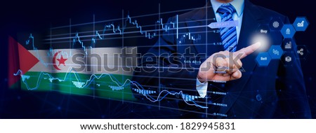 Businessman touching data analytics process system with KPI financial charts, dashboard of stock and marketing on virtual interface. With Western Sahara flag in background.