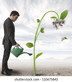 Businessman watering a plant that produces money