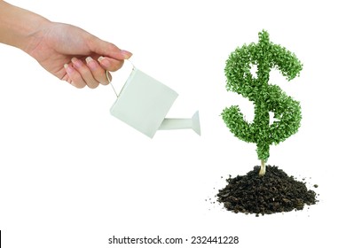 Businessman watering a tree with US dollar sign