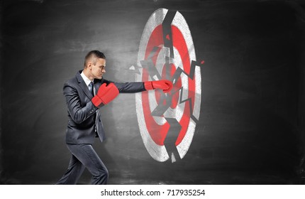 A Businessman Wears Boxing Gloves And Breaks A Chalk Drawing Of A Round Archery Target. Success And Failure. Reaching Your Goal. Break Your Record.