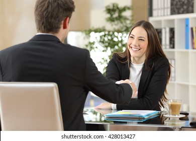 Businesspeople handshaking after negotiation or interview at office