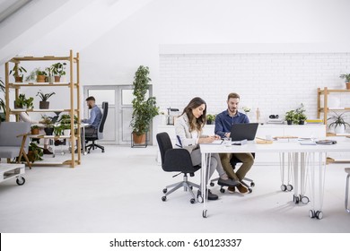 Businesspeople Working At Big White Open Space Business Office.