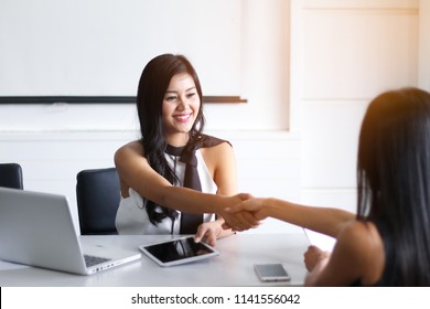 businesswoman handshake with partner