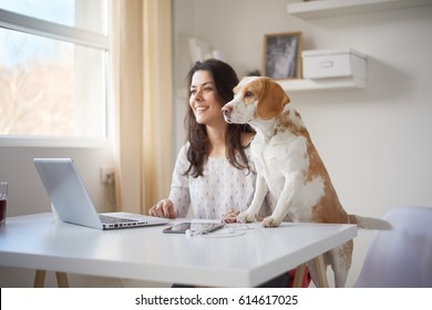 Businesswoman looking through window with her dog in home office . Businesswoman in thirties concept - Shutterstock ID 614617025
