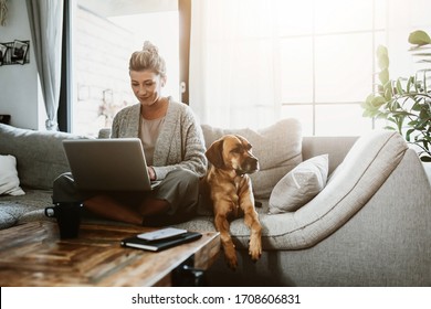 Бизнесвумен, работающая на ноутбуке, сидит дома с собакой и управляет своим бизнесом через домашний офис во время карантина по коронавирусу или Covid-19