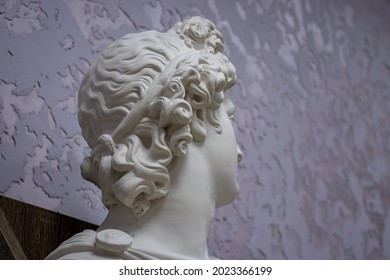 Bust Of Roman Statue On Purple Wall Paper