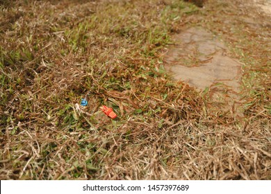 Busted And Broken Water Pipe In Yard From Lawn Mower