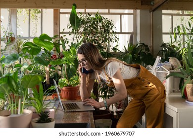 Busy entrepreneur woman, female gardener work on laptop, order plants by phone in home garden. Young businesswoman in jumpsuit check document on computer, speak on mobile in office full of houseplants - Powered by Shutterstock