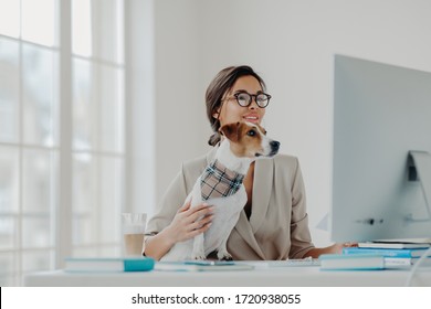 Busy Female Teacher Wears Formal Clothes And Spectacles Conducts Online Lessons For Students Works At Computer Poses In Coworking Space With Dog, Busy Working Online. Businesswoman At Desktop