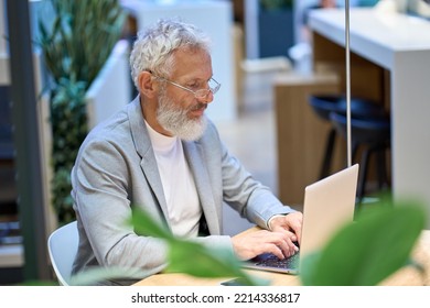 Busy Smart Older Senior Professional Business Man Wearing Spectacles Using Laptop Sitting In Corporate Office At Desk. Middle Aged Old Adult Concentrated Businessman Working Online Typing On Computer.