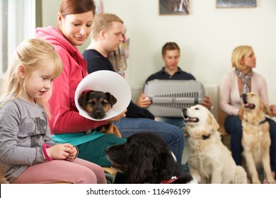 Busy Waiting Room In Veterinary Surgery