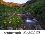 Butakovskoye Gorge in Almaty Kazakhstan with small stream or spring with clear water in mountains among stones and flowers