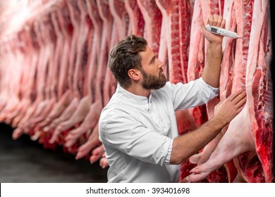 Butcher measuring pork temperature in the refrigerator at the meat manufacturing