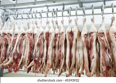 Butcher products. Processed pigs hanging in a slaughter house