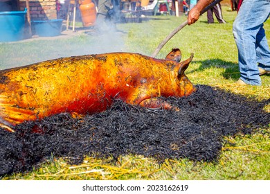 Butchers are burning pile of straw for removing hair from the pig's skin at outdoor butchery.