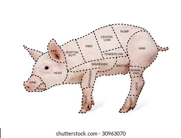 Pig Butcher Chart