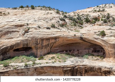 Butler Wash Ancestral Puebloan Ruins, Utah, Comb Ridge