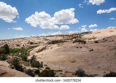 Butler Wash Ancestral Puebloan Ruins, Utah, Comb Ridge