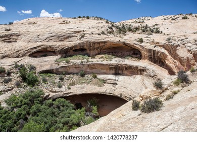 Butler Wash Ancestral Puebloan Ruins, Utah, Comb Ridge