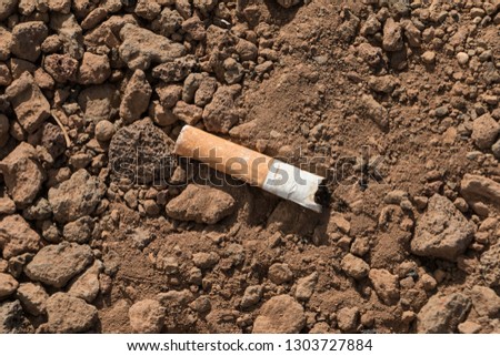 butt of a cigarette on ground