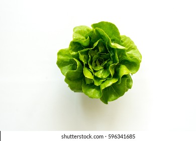 Butter head Lettuce salad plant, hydroponic vegetable leaves, isolated on white background