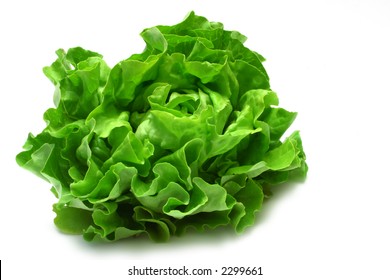 Butter Lettuce Isolated On White