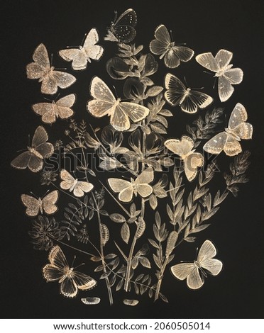 Butterflies and moths fluttering over flowers vintage illustration, a remix from original artwork.