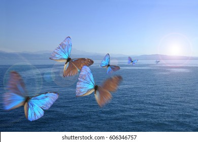 Butterflies In The Swarm Over A Lake