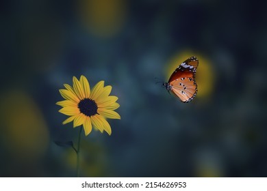 Butterfly Approaching Sun Flower. Best Part Of Photography Is To Freeze The Moment. One Can See The Actual Beauty Hidden In Simple Daily Life Events.