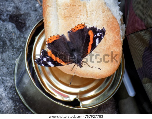 Butterfly Bread Cans Stock Photo Edit Now