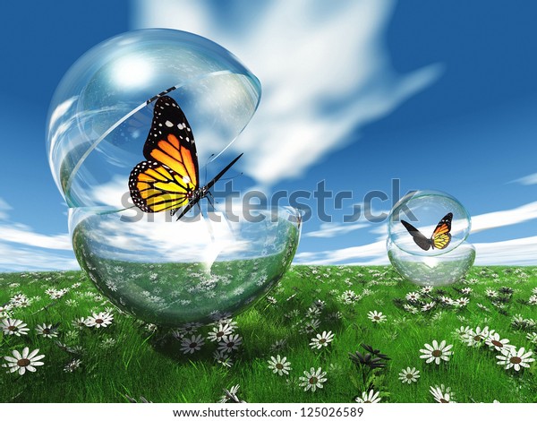 bubble butterfly