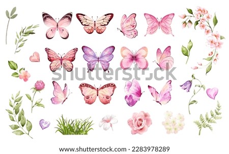 Butterfly collection. Watercolor illustration. Colorful Butterflies clipart set. Pink butterfly. Girl baby shower design elements. Party invitation, birthday celebration. Spring or summer decoration