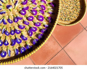 Butterfly Fea Flowers At An Old Inn In Yogyakarta