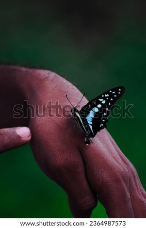 Butterfly in the hand, 
Cam - NikonD5600 , 70-300mm VR lens

