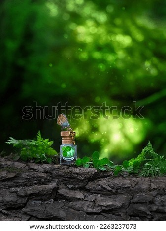 Butterfly, key and witch glass bottle with magic elixir in forest, green natural background. shamrocks, symbol of St.Patrick's day holiday. Fairy tale, secret garden. secrecy, mystique concept